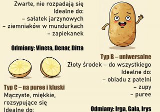 Ziemniak ziemniakowi nierówny – jak wybrać odpowiednią odmianę?